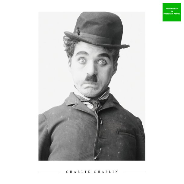 Charlie Chaplin 30x40