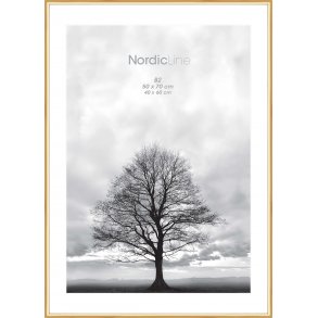 Nordic Line 29,7x42 (A3) Brass Messing 